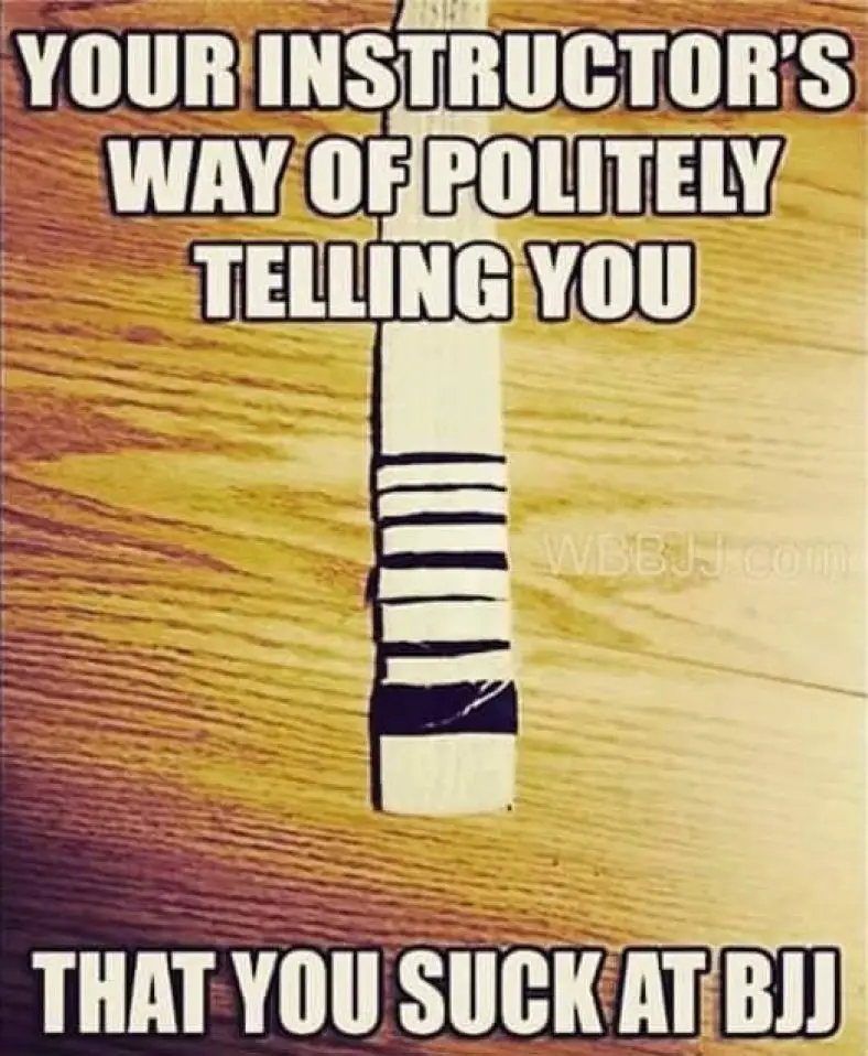 Brazilian Jiu Jitsu Belt Ranks Guide From the Lowest to the Highest