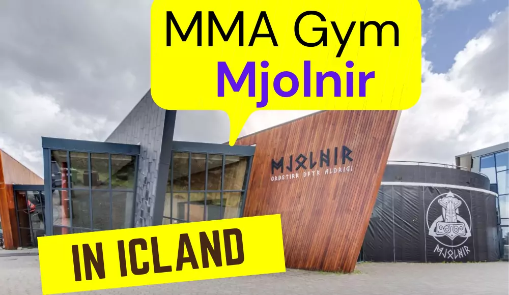 MMA Gym Mjolnir