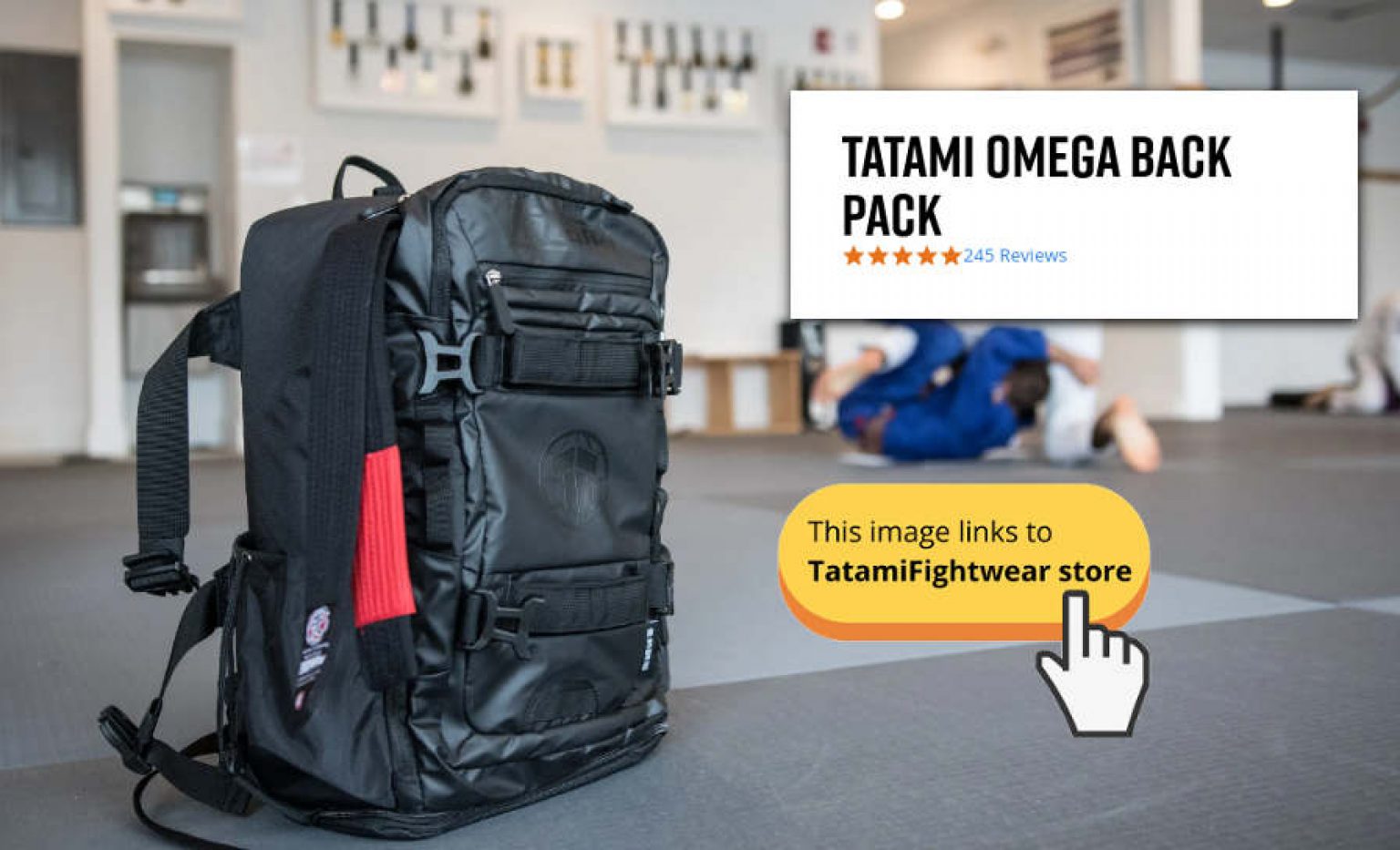 tatami backpack