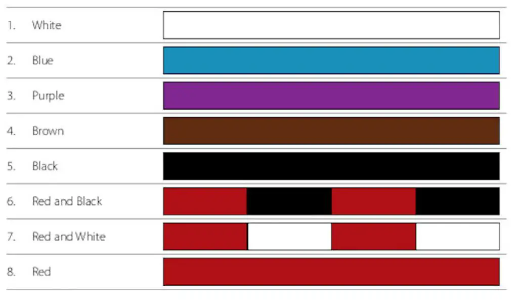 BJJ belt progression timeline 