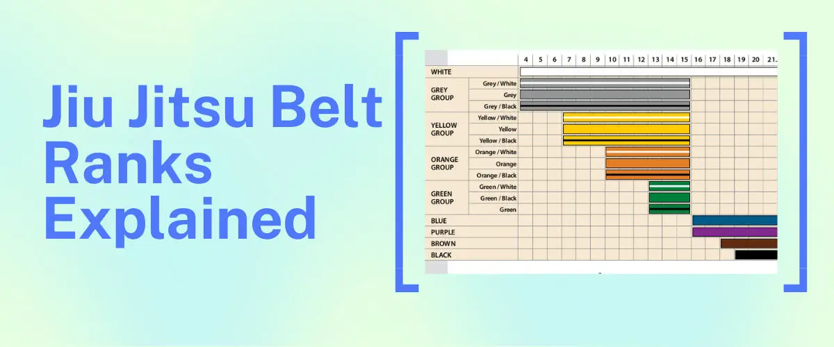 Brazilian Jiu Jitsu Belt Ranks