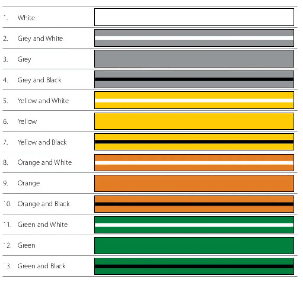 IBJJF graduation system for Brazilian jiu jitsu kids belts