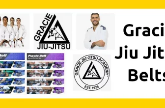 Gracie Jiu Jitsu Belt System