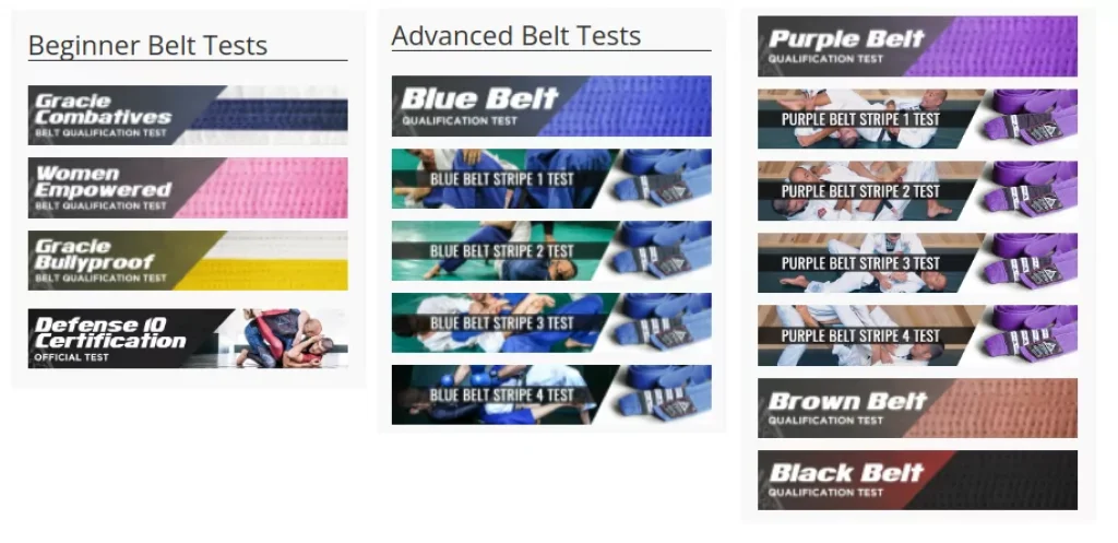 Gracie Jiu Jitsu Belt System