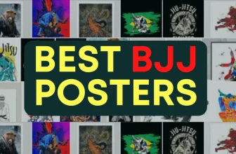 cool jiu jitsu art