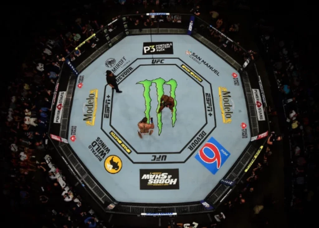 octagon ufc