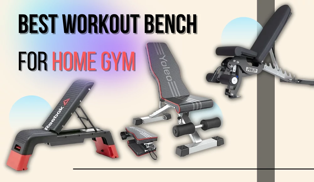 Best Workout Bench reddit