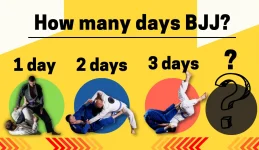 How many days a week do you train BJJ reddit