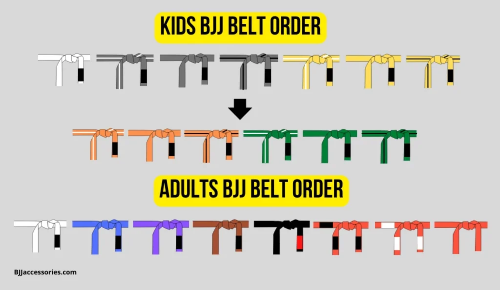 bjj belt order