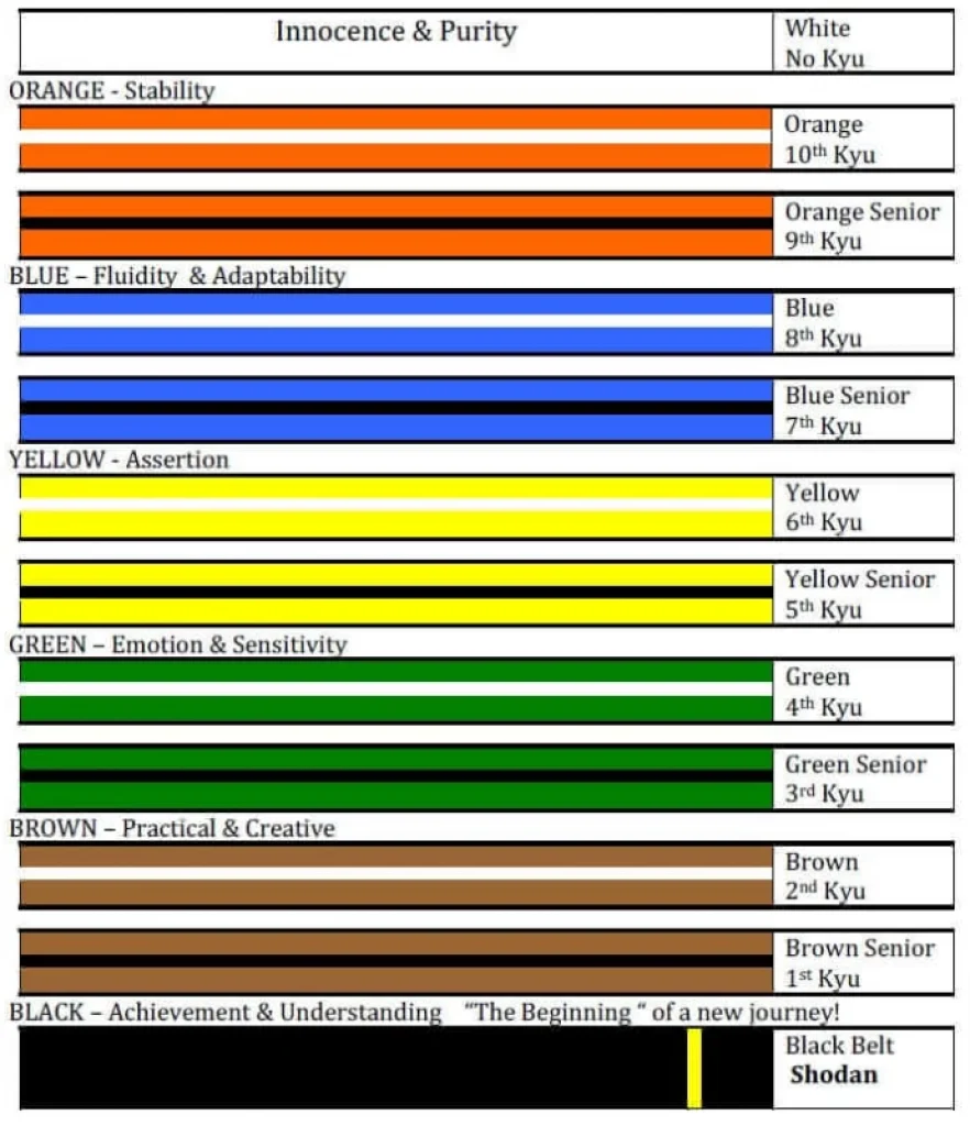 junior karate belt order