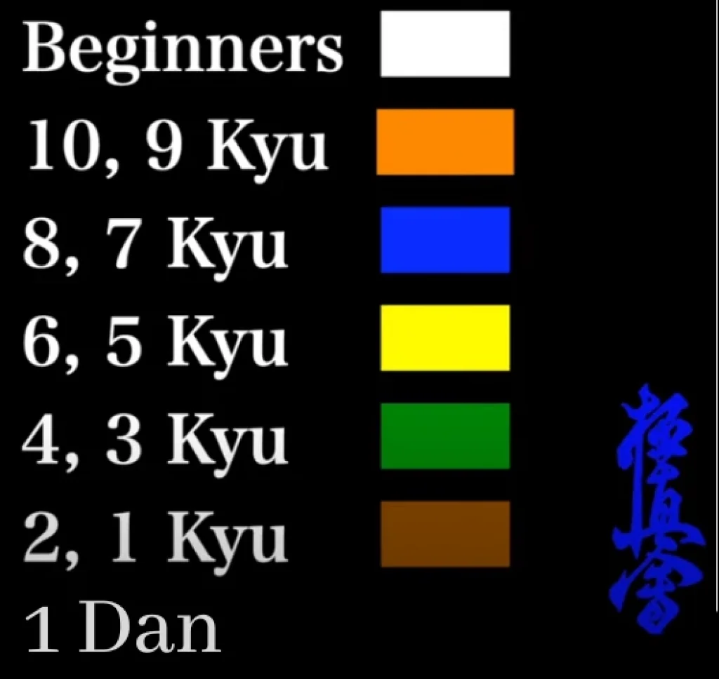 kyokushin karate belt order