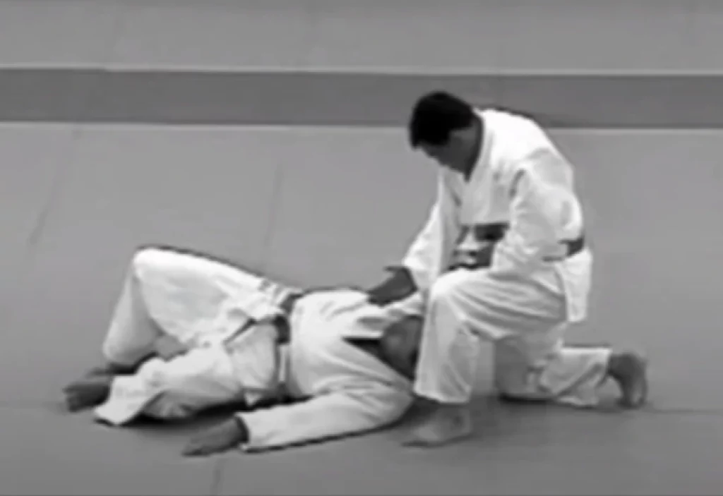 how does a judo chop work