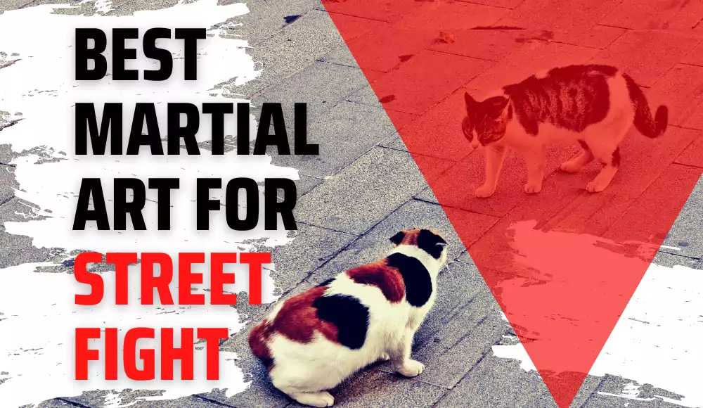 best martial art for street fight