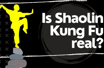 Is Shaolin Kung Fu real