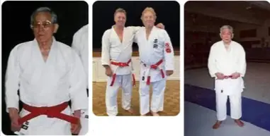 Lamme Dam mosaik How many belts in judo? [Explained] - BJJaccessories