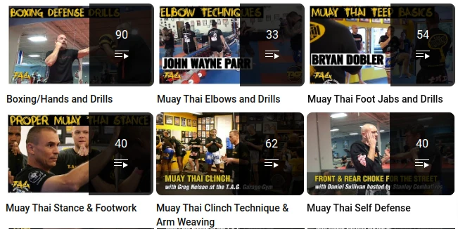 muay thai training online