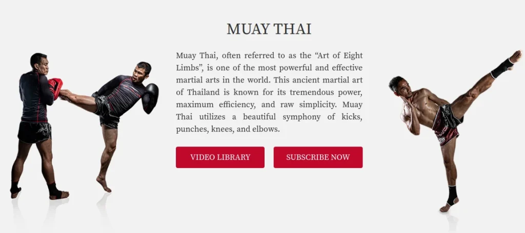 muay thai training online