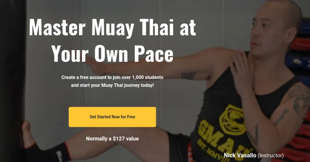 muay thai training online