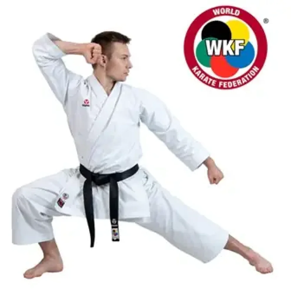 karategi hayashi wkf approved