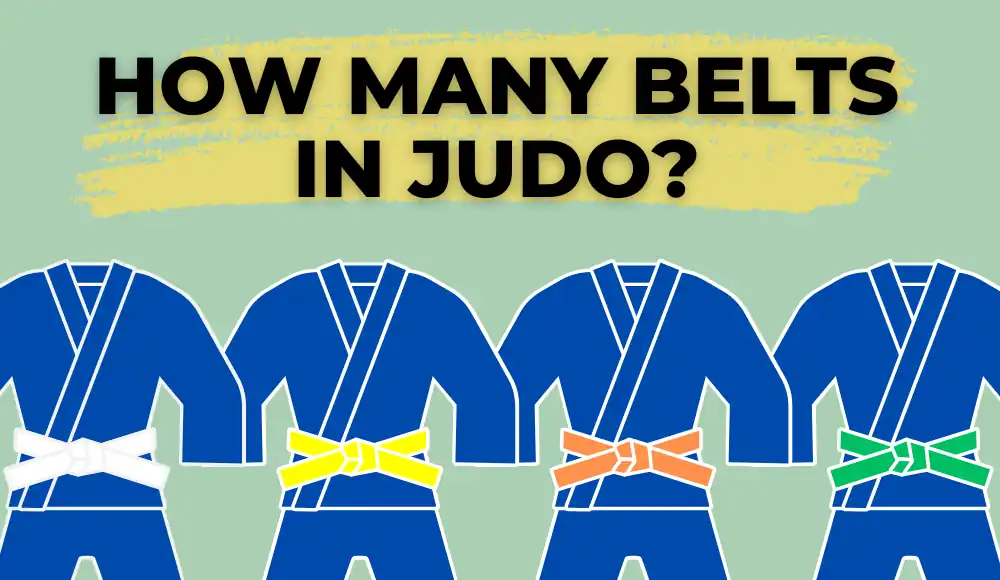 How many belts in judo?