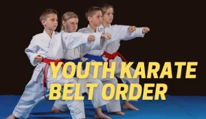 karate junior belts
