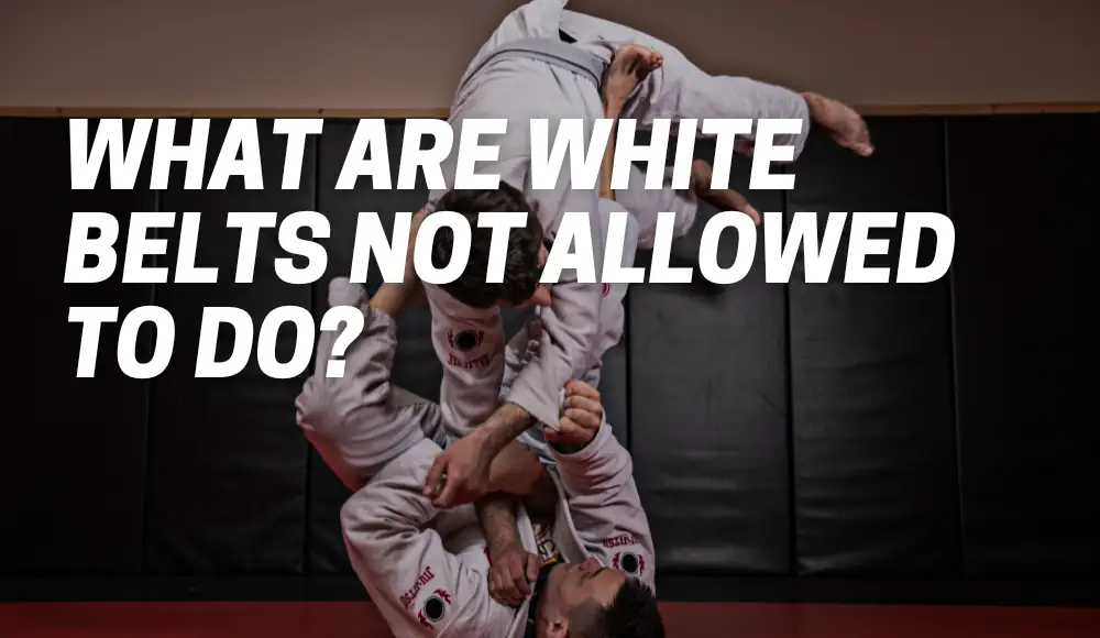 What Are White Belts Not Allowed To Do?
