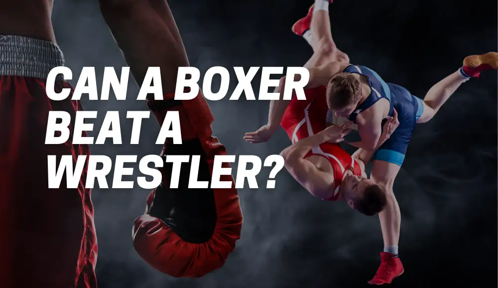 can a boxer beat a wrestler in a fight