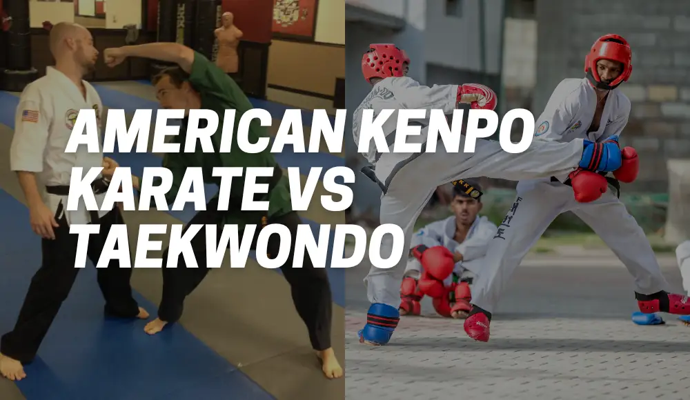 American Kenpo Karate vs Taekwondo