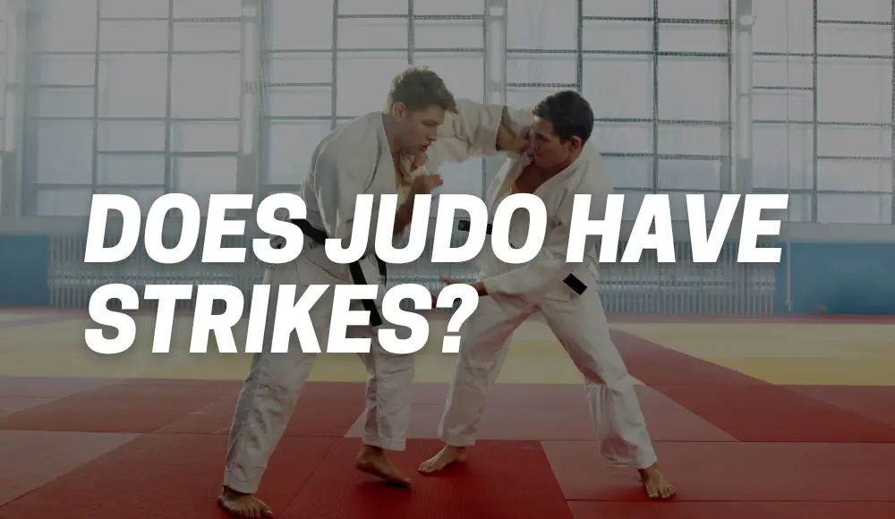 Does Judo Have Strikes?