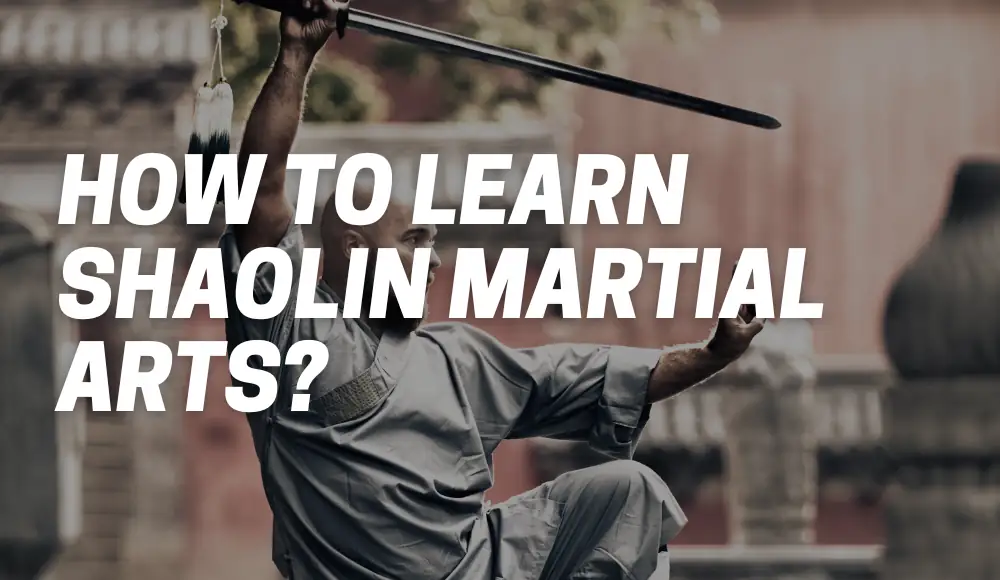 How To Learn Shaolin Martial Arts?