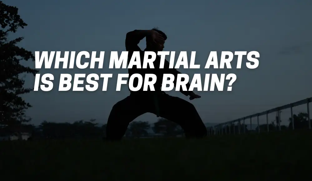 Which Martial Arts Is Best For Brain?