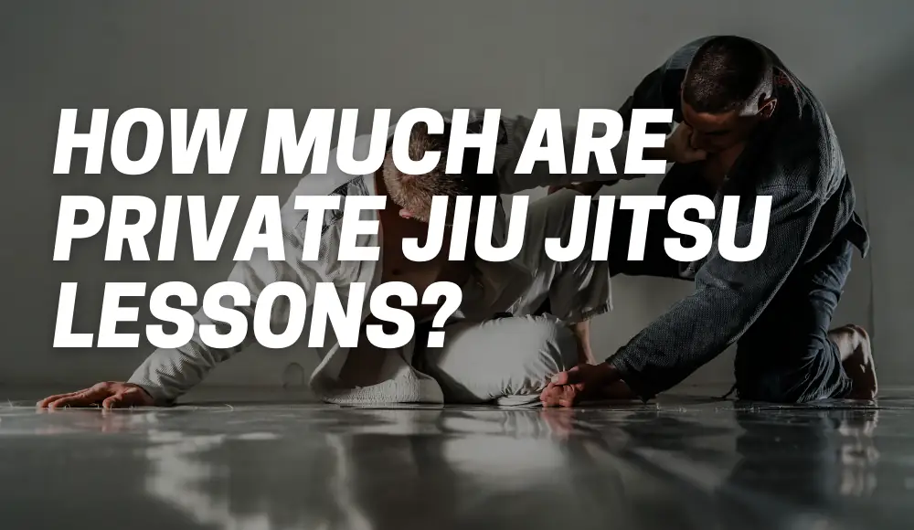 How Much Are Private Jiu Jitsu Lessons?