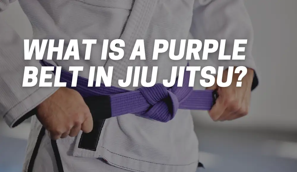 What Is a Purple Belt in Jiu Jitsu?