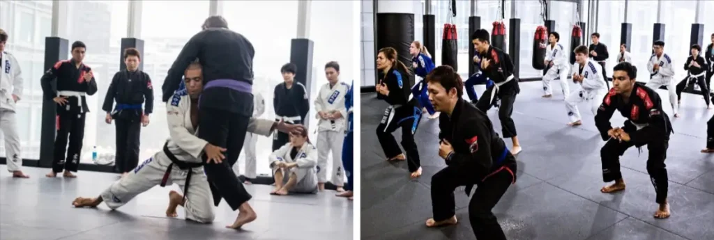 bjj classes