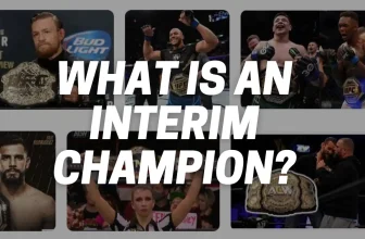 what is an interim champion